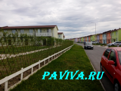 живой забор в жилом комплексе